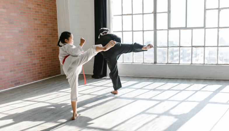 Judo Anfänger-Kurs