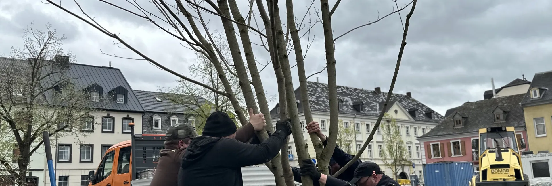 Neupflanzungen auf dem Marktplatz haben begonnen