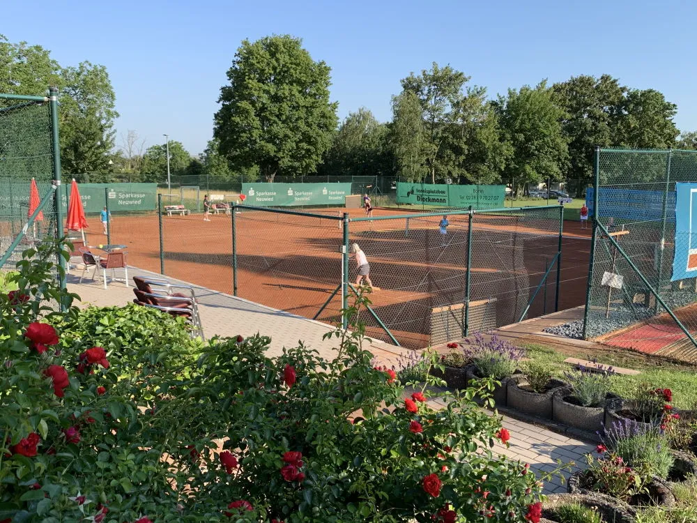 Tennisclub Rhein-Wied e.V. - Bild 1