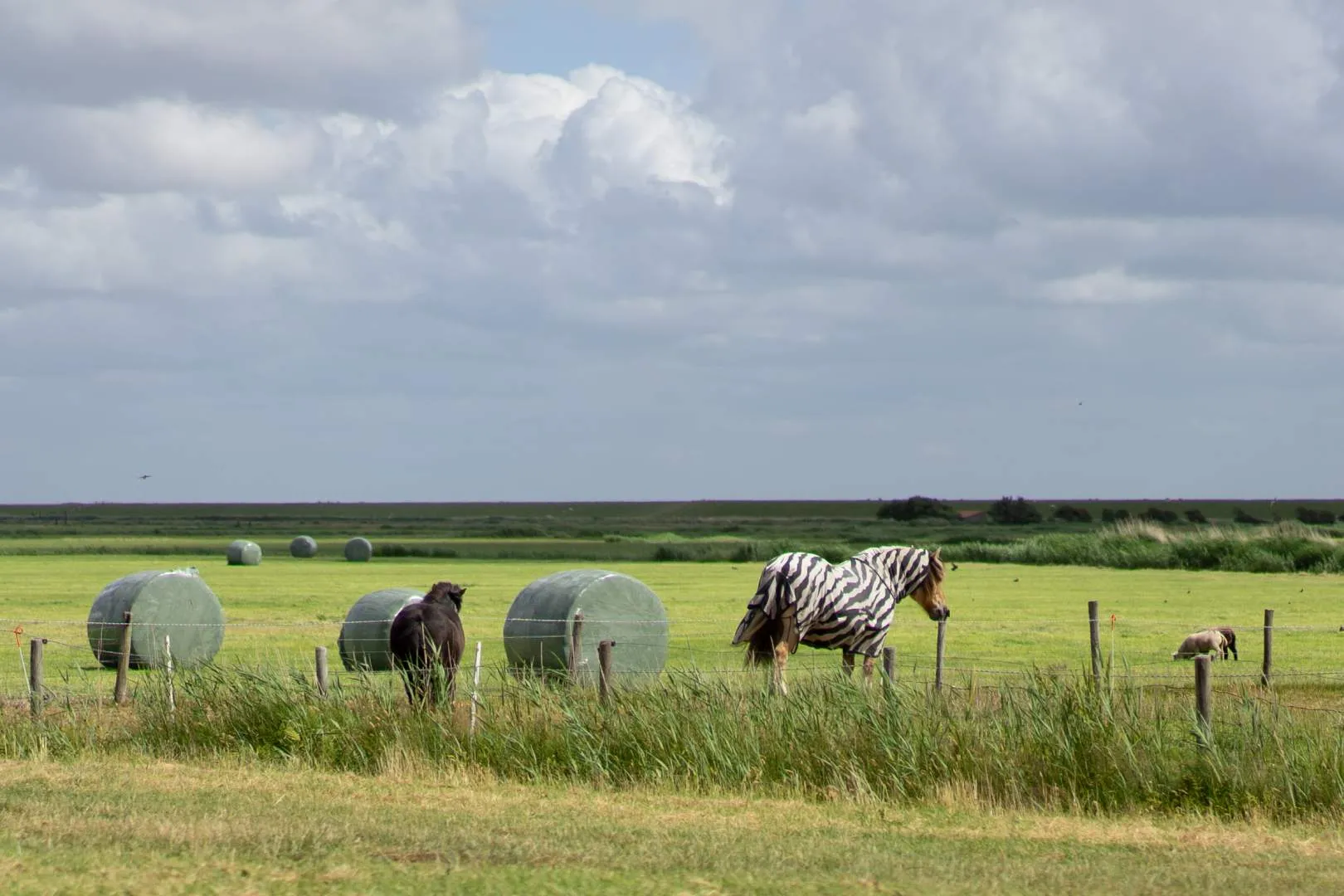 Ameland Ferienfreizeit St. Matthias