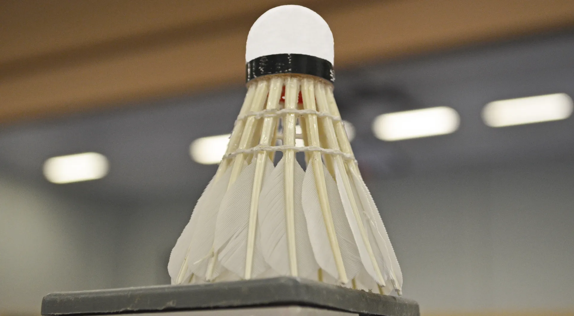 1. Badminton-Club Neuwied e.V.