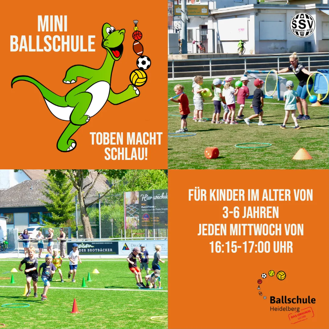 Heidelberger Ballschule