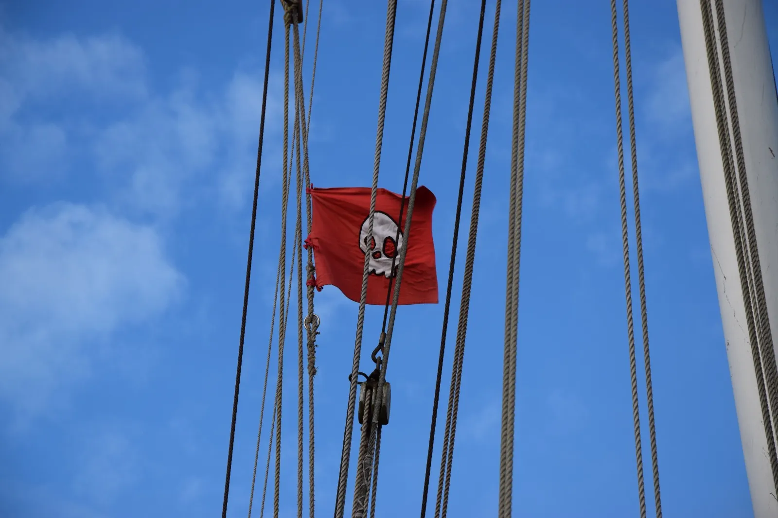 Stamm der Piraten