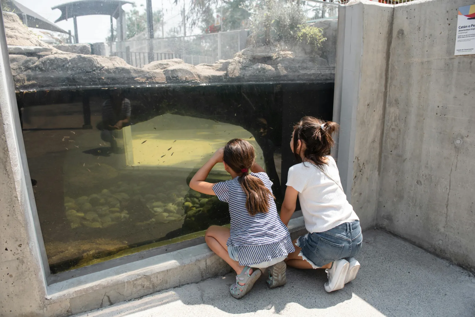 Donnerstag, 16. Mai, um 11 Uhr in 56566 Neuwied, am Zoorestaurant in der Waldstraße 160.
