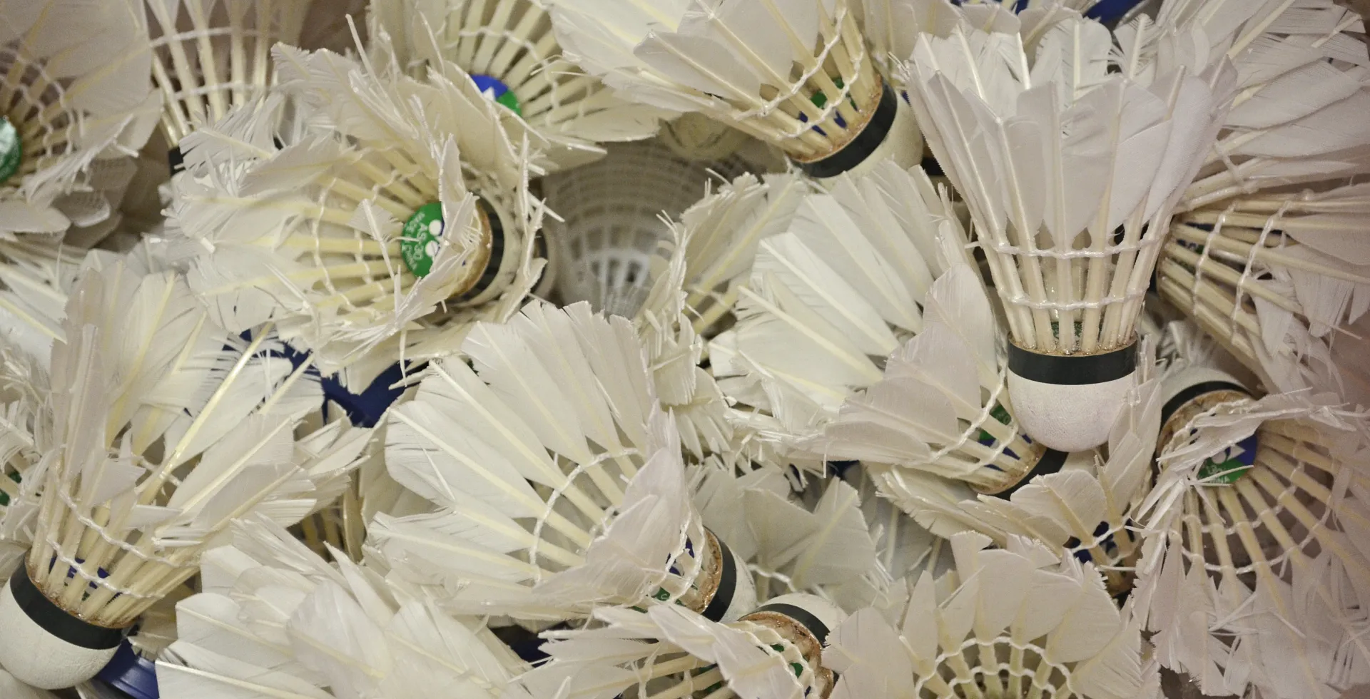 1. Badminton-Club Neuwied e.V.