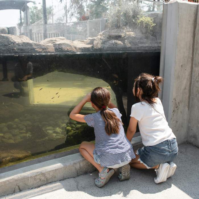 Donnerstag, 16. Mai, um 11 Uhr in 56566 Neuwied, am Zoorestaurant in der Waldstraße 160.
